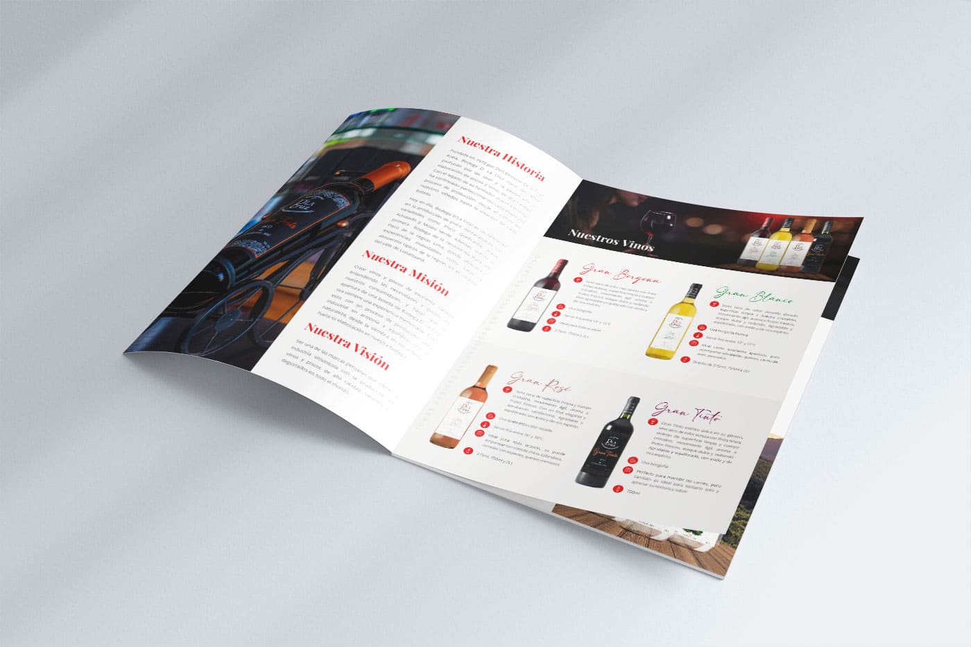 auracreativa.com brochure bodega la cruz 2