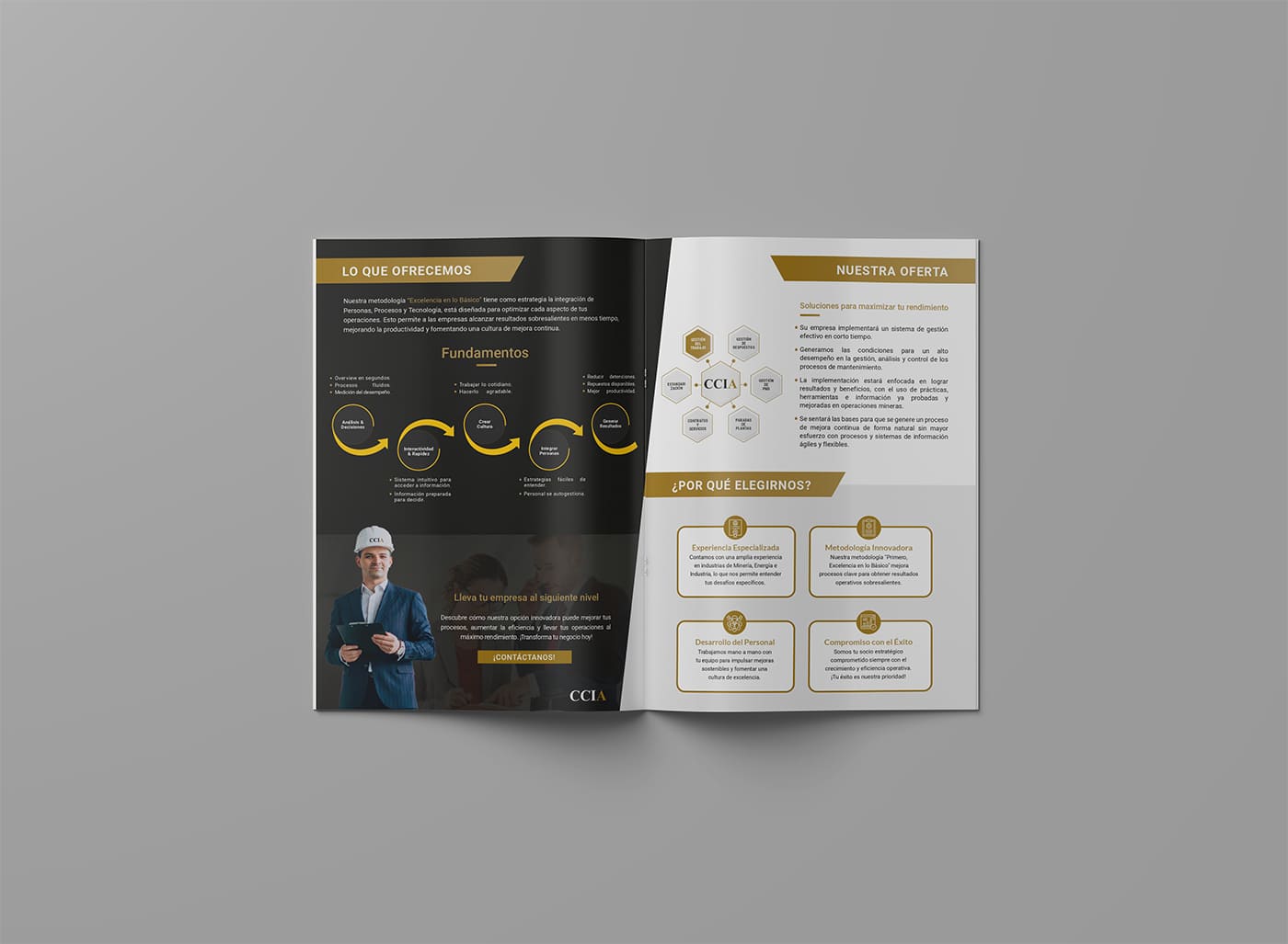 portafolio aura brochre CCIA(1)