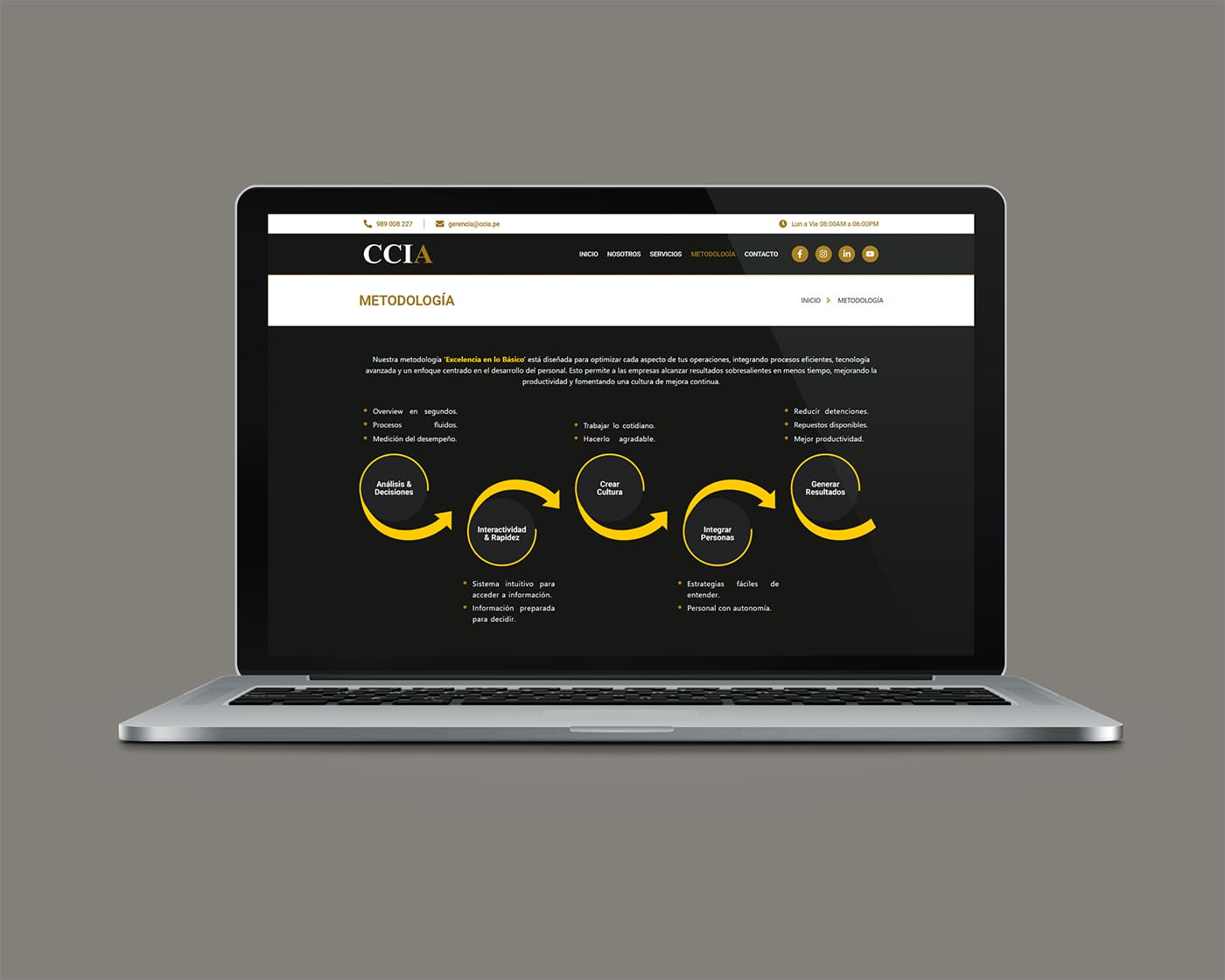 portafolio aura sitio web CCIA (3)