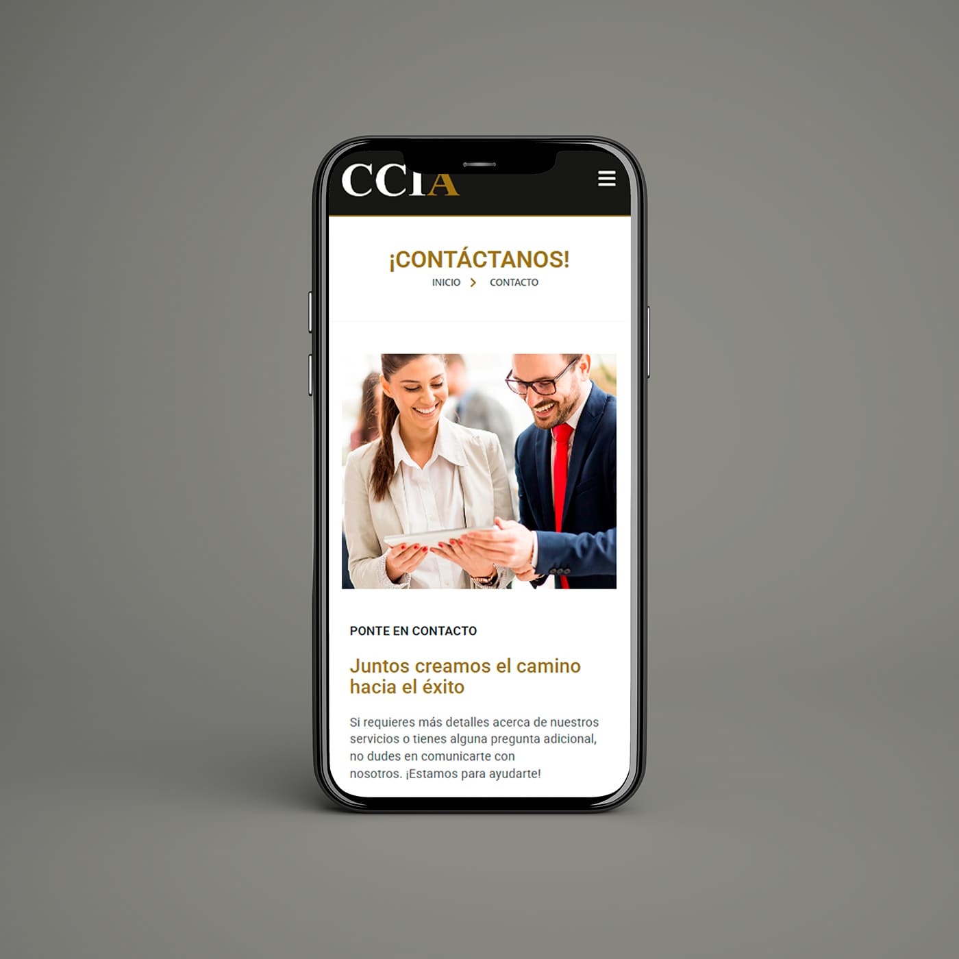 portafolio aura sitio web CCIA (5)