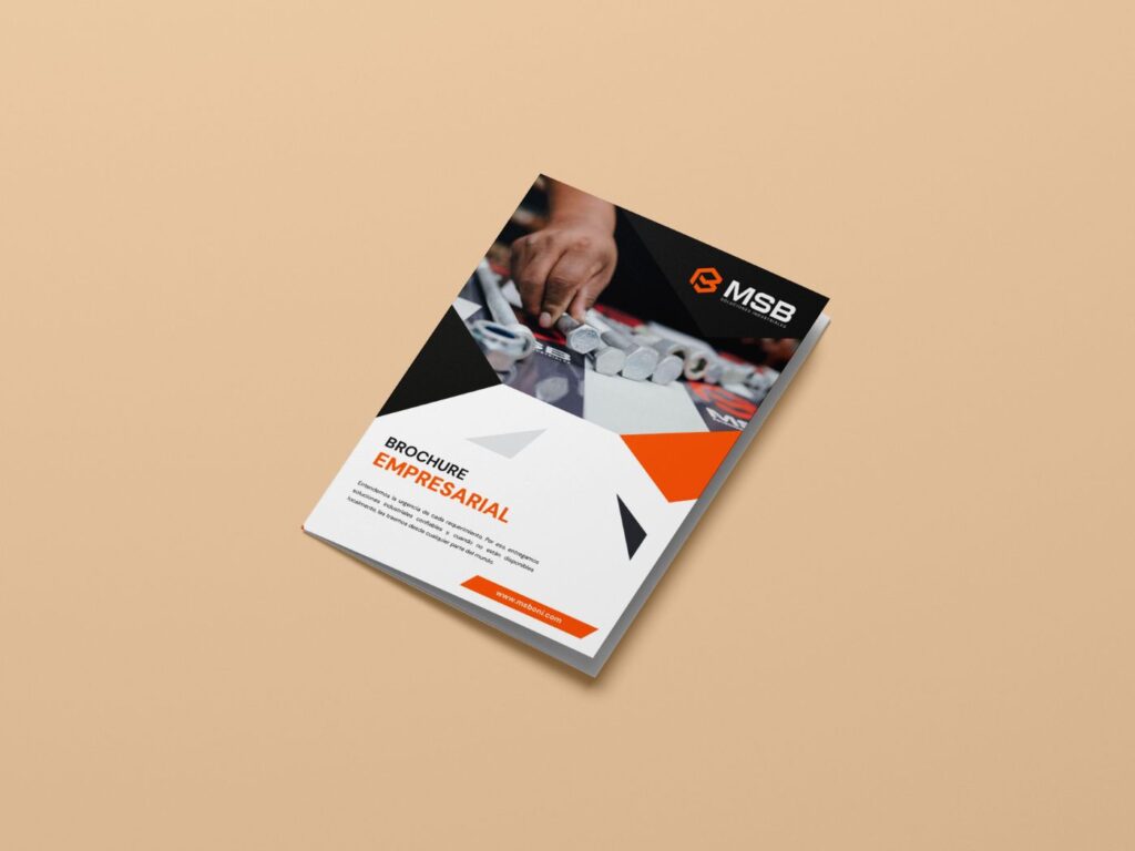 portafolio aura MSB Peru.jpg