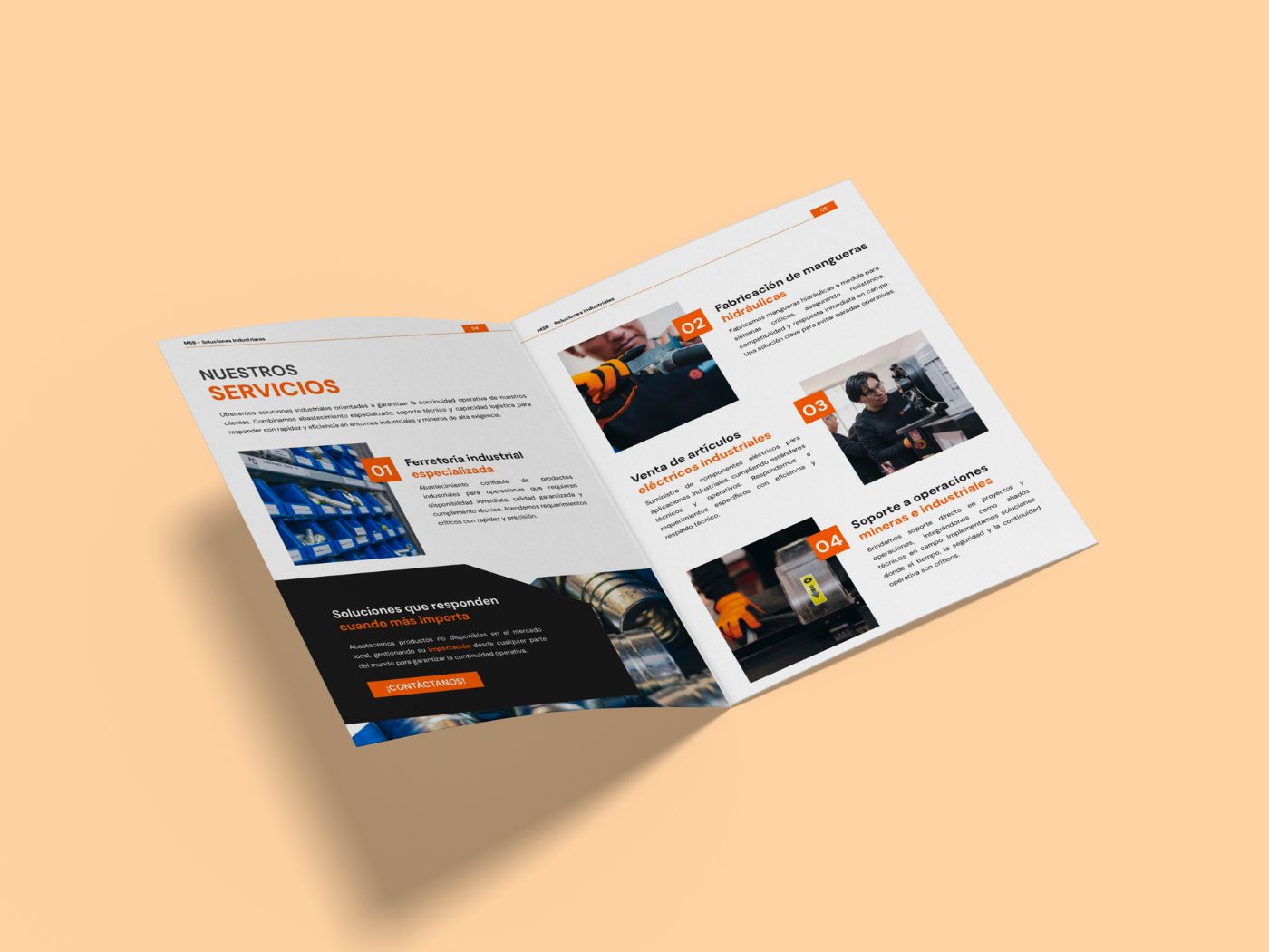 portafolio aura MSB Peru 3.jpg