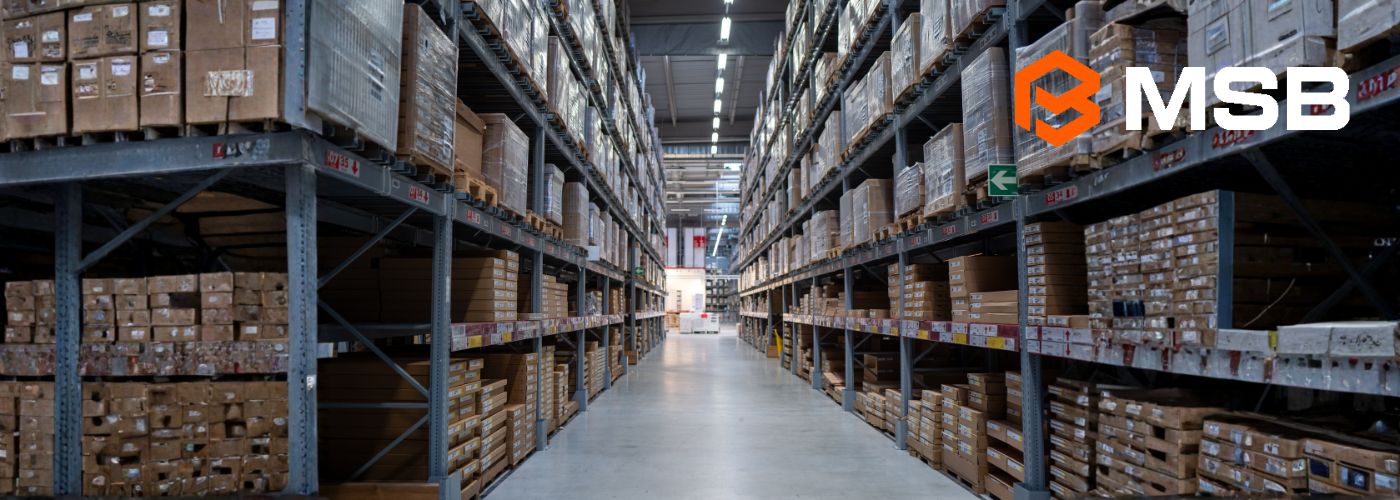 proyecto branding MSB.jpg