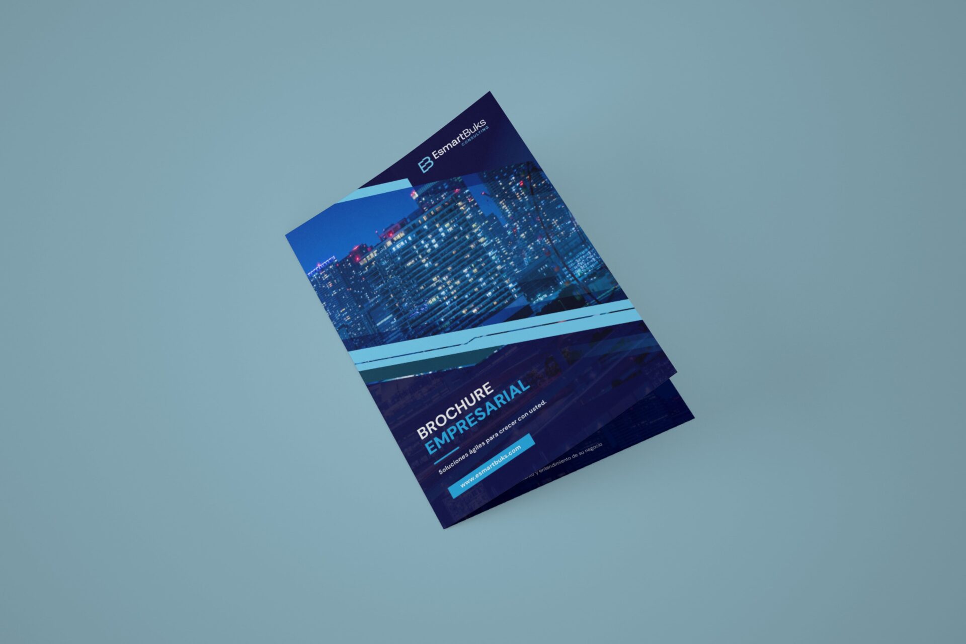 portafolio aura ESMARTBUKS