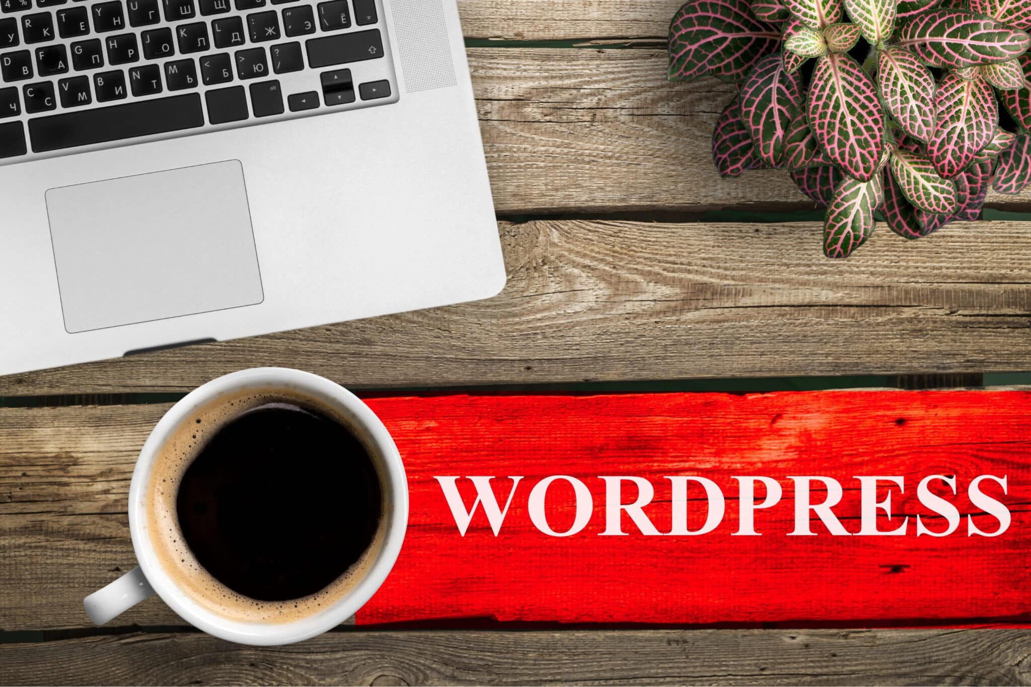 BLOG AuraCreativa mantenimiento wordpress mensual portada